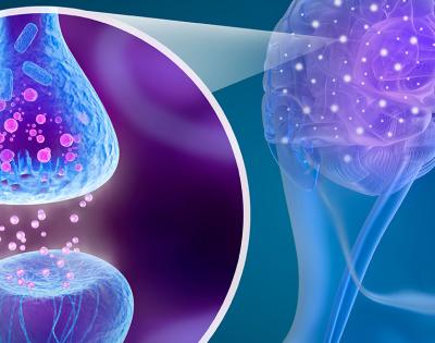 brain_neural_connections