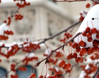 campus-winter
