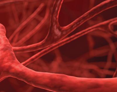 cardiovascular-system-feat
