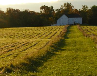 case-farm