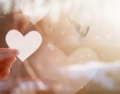 charity-news