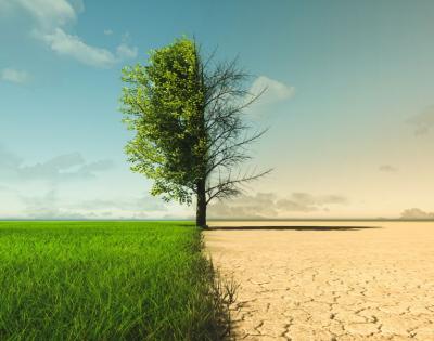 climate-change-1