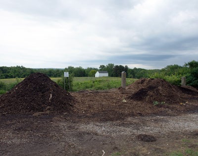 compost-feat