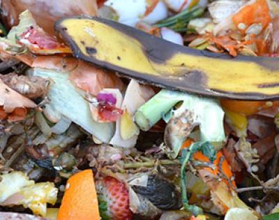 compost
