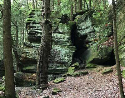 cvnp-feat