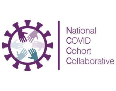 National%20COVID%20cohort%20collaborative%20logo%20copy.png
