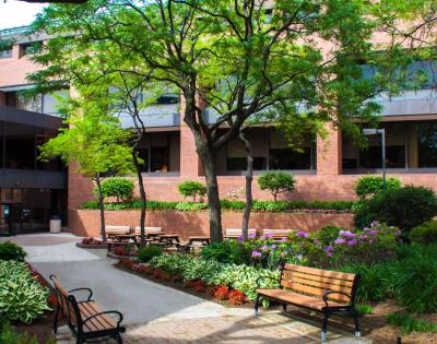 Law%20School%20courtyard.jpg