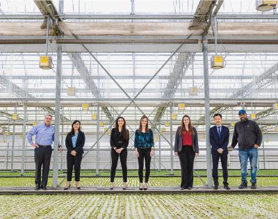 P18_Greenhouse_CC_Credit_Matt_Shiffler.jpg