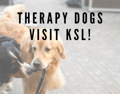 KSL%20news%20-%20Therapy%20dogs%20%28no%20dates%29_0.jpg