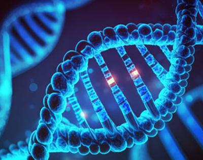169genomestock.jpg