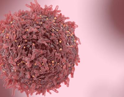 169pinkcancercell.jpg