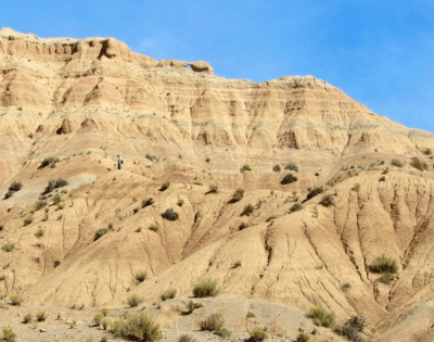 2024.10-Croft-QHB-landscape.gif