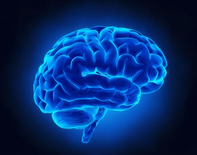 Blue%20Brain.jpg