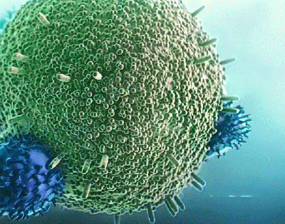 Cancer-receptor.gif