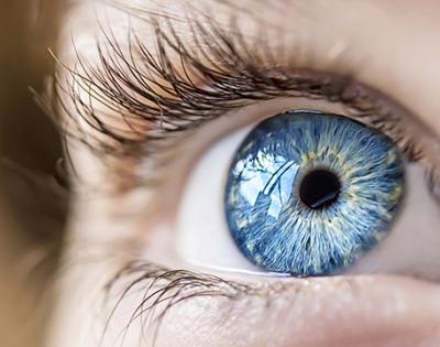 eye.jpg