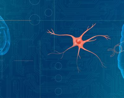 glial-feat.jpg