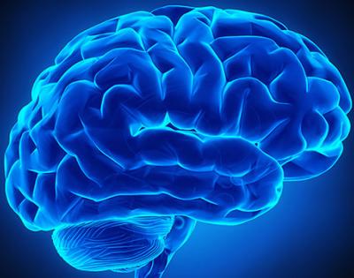 graphicbrain.jpg