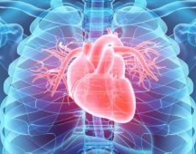 heart-feat-260x170.jpeg