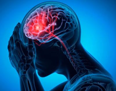 stockbrain169.jpg