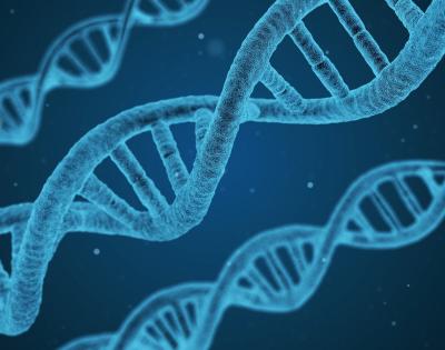 dna-1811955_1920-1