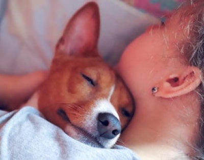 dog-sleeping