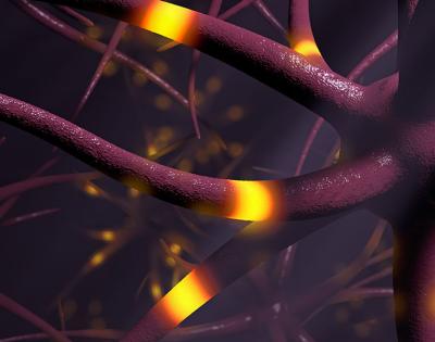 epilepsy_nerves