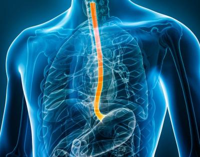 esophagus-feat