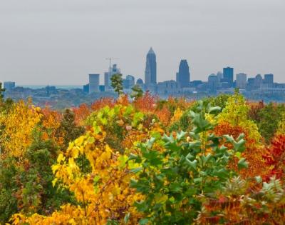 fall-foliage-feat