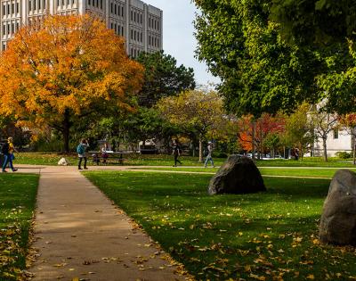 fall-qua