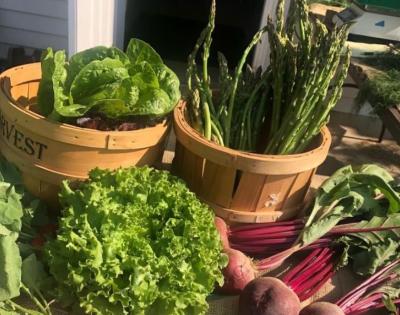 farm-stand