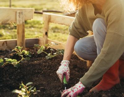 gardening-1