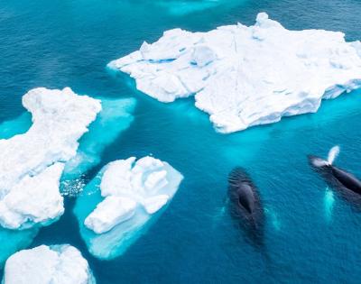 glaciers