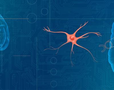 glial-feat