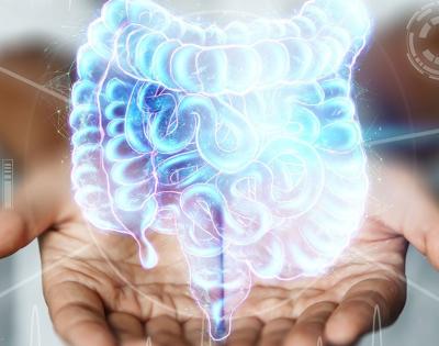 gut-health
