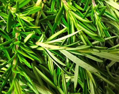 herbs