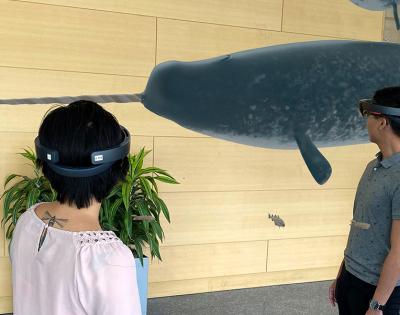 hololens_narwhal_composite