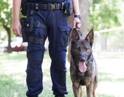 k9-security