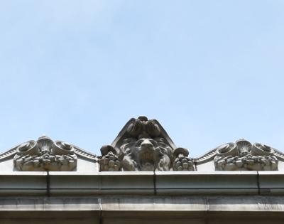 lions