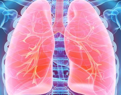 lungs-feat