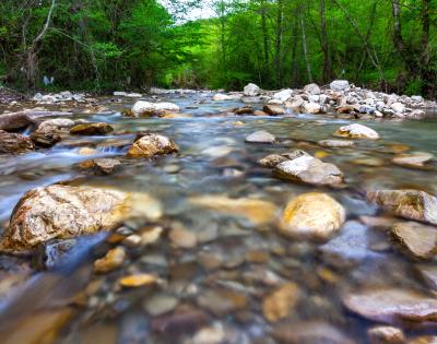 mountain-stream