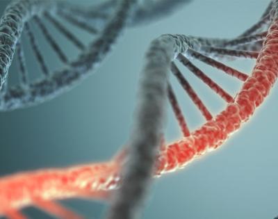 mrna