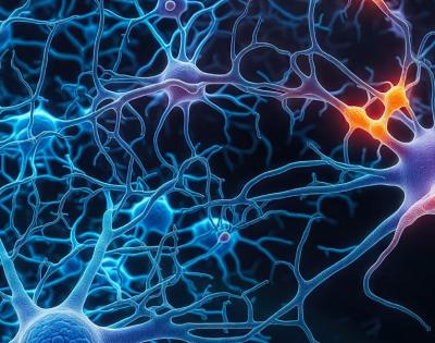 neurons-feat