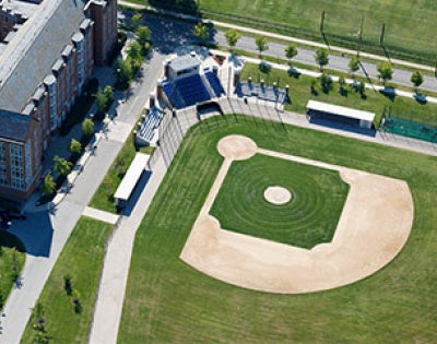 nobbys-ballpark