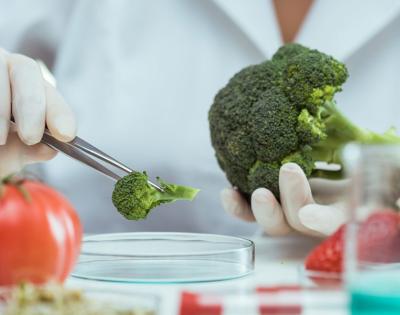 nutrition-feat
