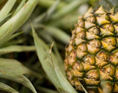 pineapple