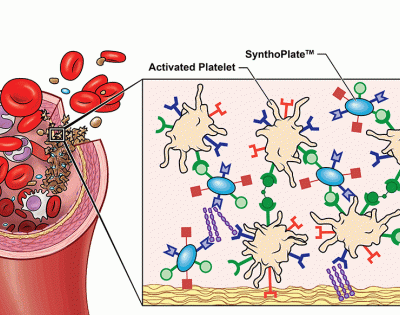 platelets_graphic-e1506371497454