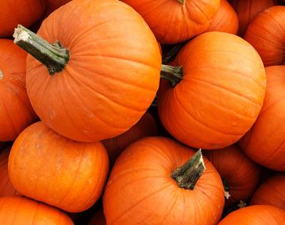 pumpkins-feat