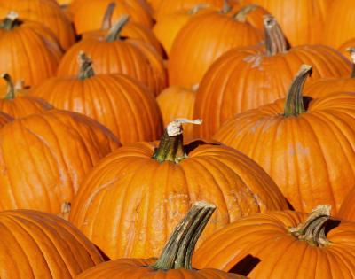 pumpkins