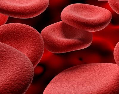 red-blood-cells-feat