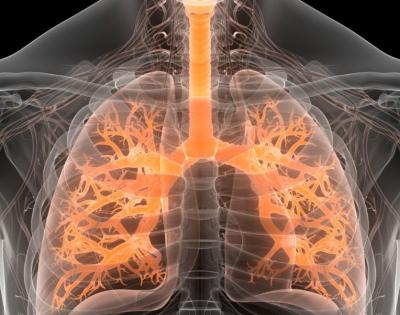 respiratory-system